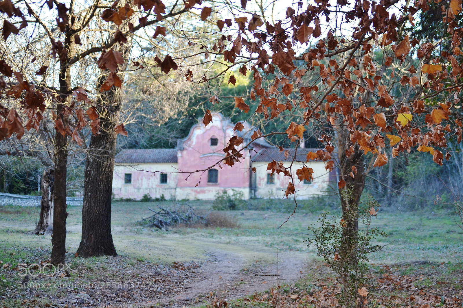 Nikon D3100 sample photo. Dedao () photography