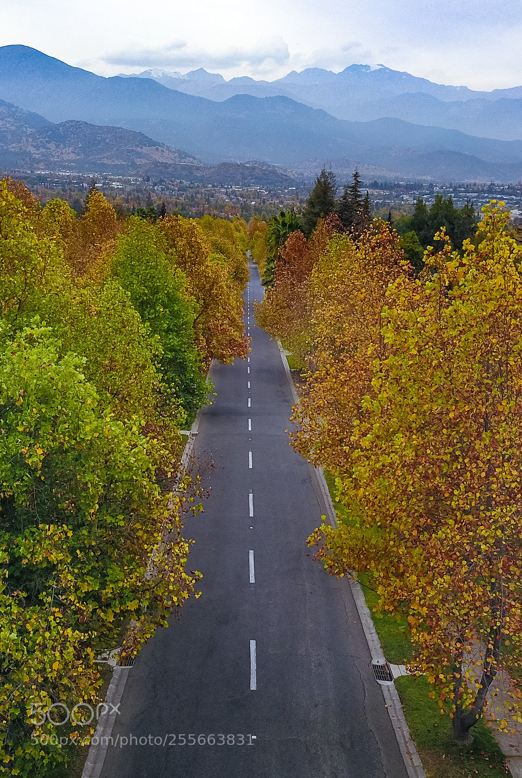 DJI FC220 sample photo. Camino otoñal photography