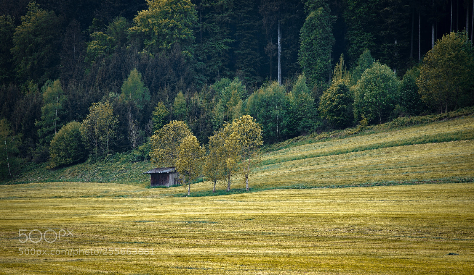Canon EOS 5D Mark II sample photo. Untitled photography