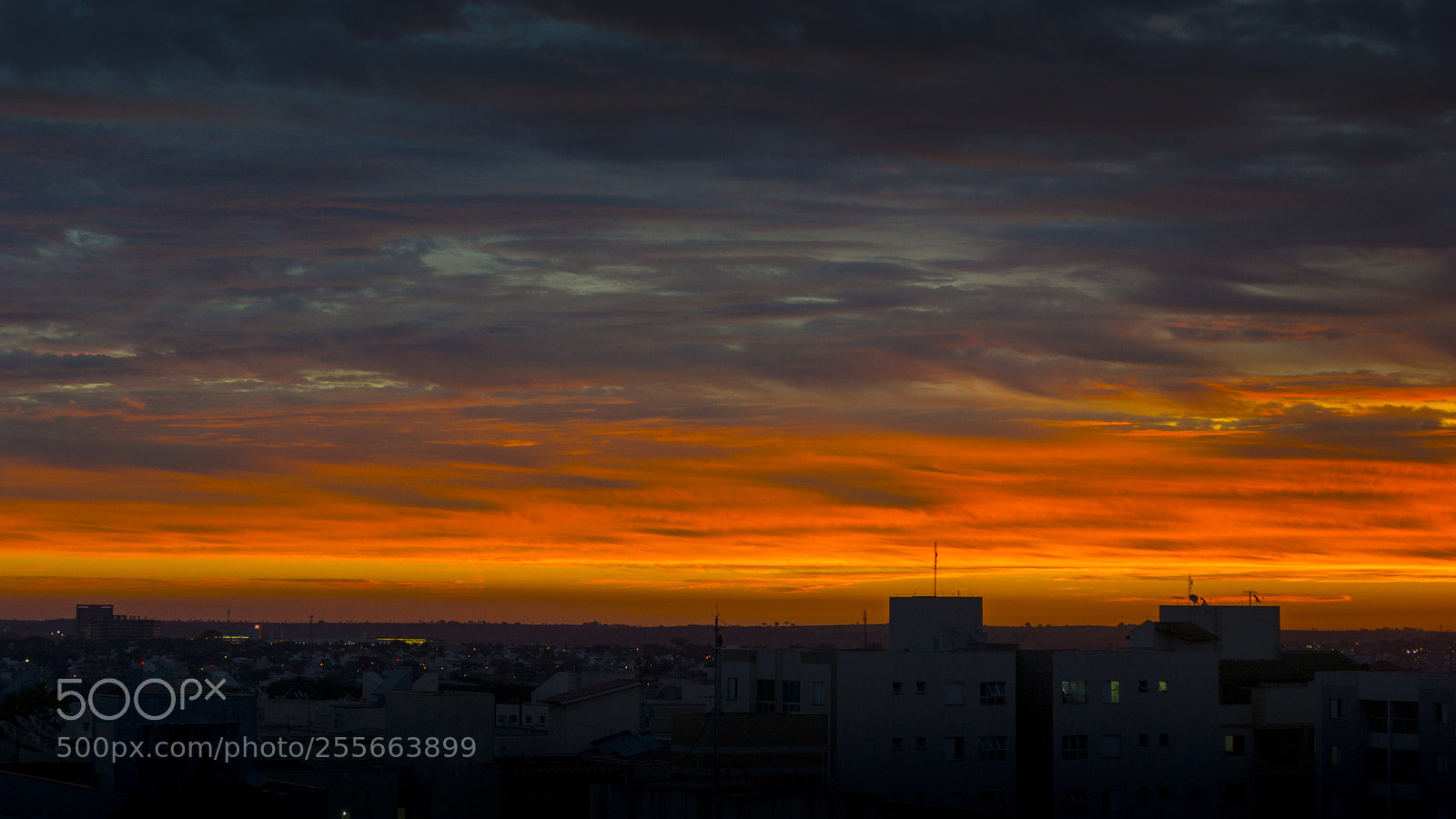 Sony SLT-A65 (SLT-A65V) sample photo. Evening coming photography
