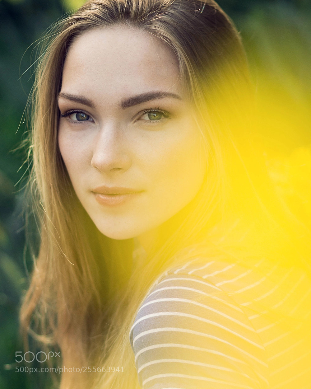 Canon EOS 70D sample photo. Fauve photography