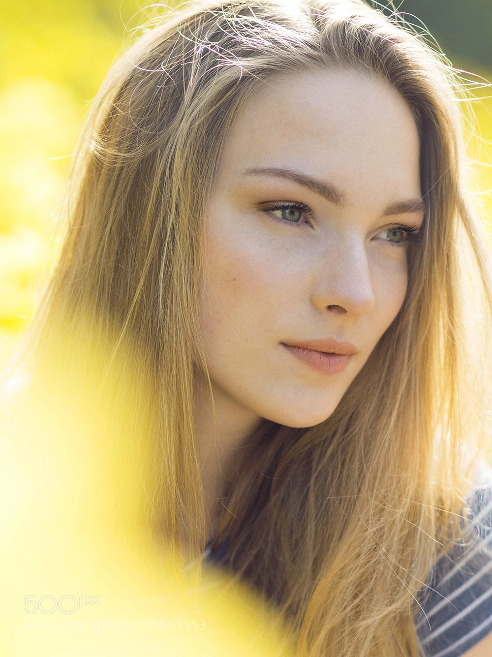 Canon EOS 70D sample photo. Fauve photography