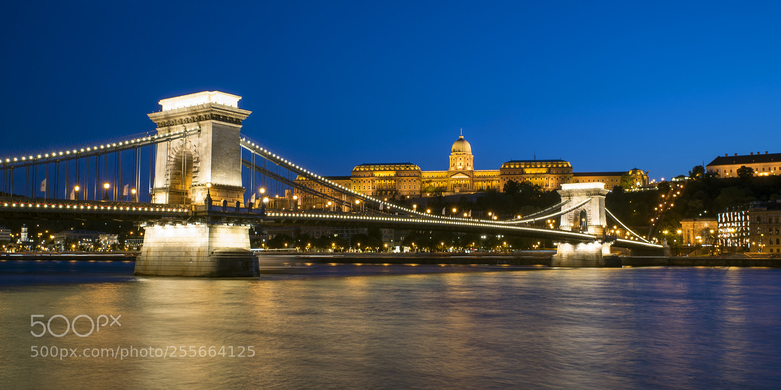 Nikon D610 sample photo. Blue hour in budapest photography