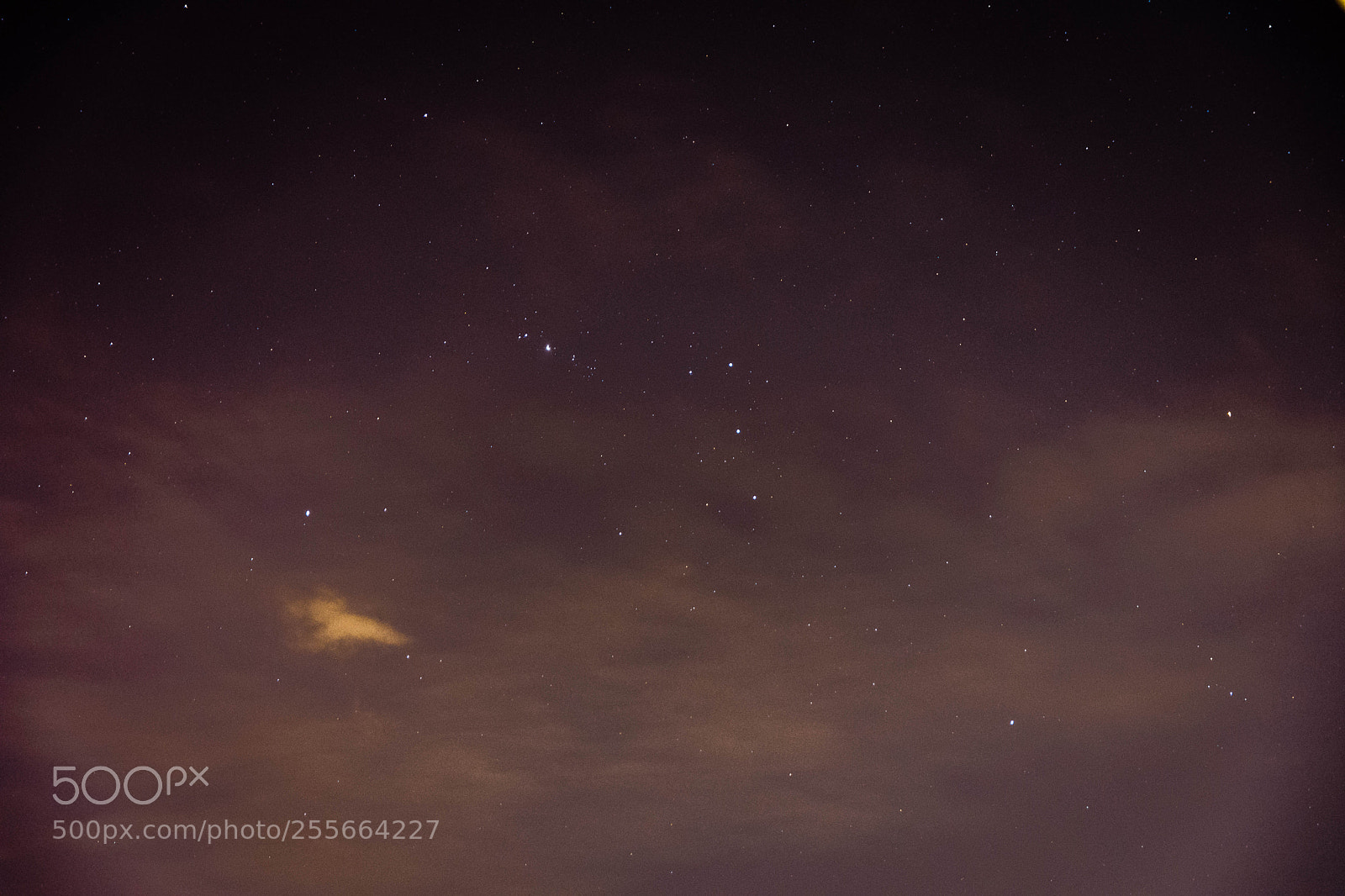Nikon D7200 sample photo. Orion photography