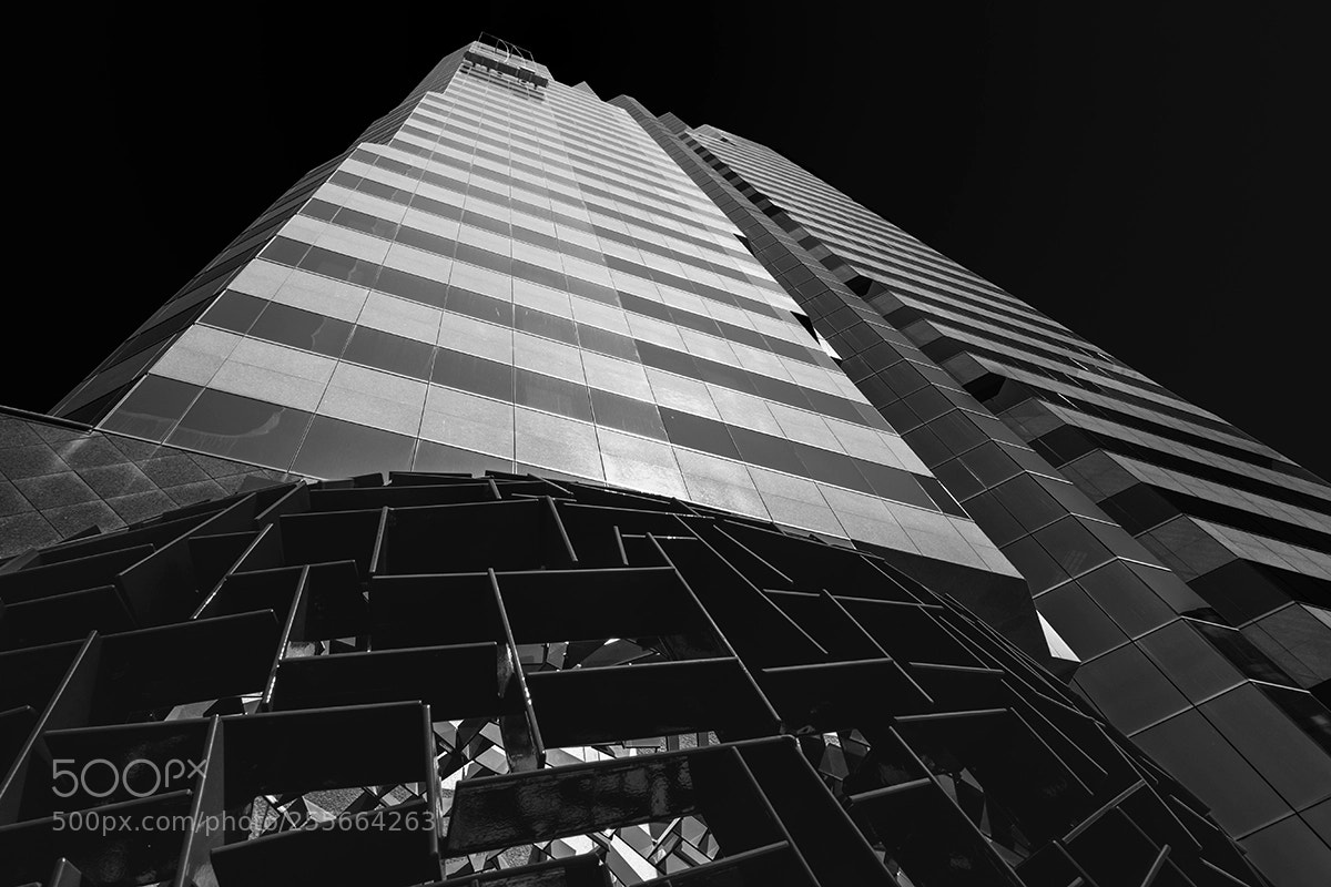 Sony Cyber-shot DSC-RX100 IV sample photo. Maze ar bottom web photography
