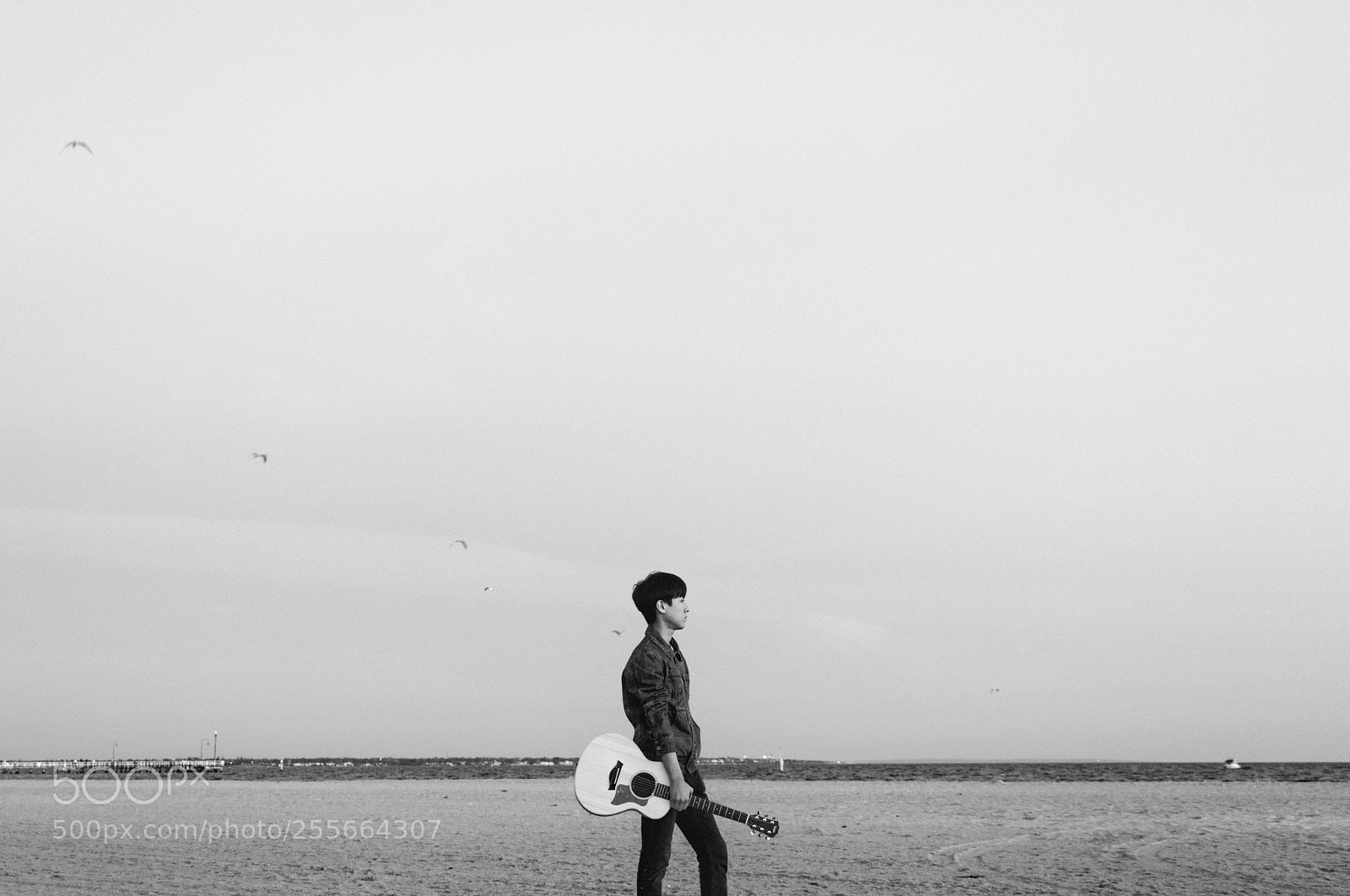 Canon EOS 80D sample photo. Guitar  photography