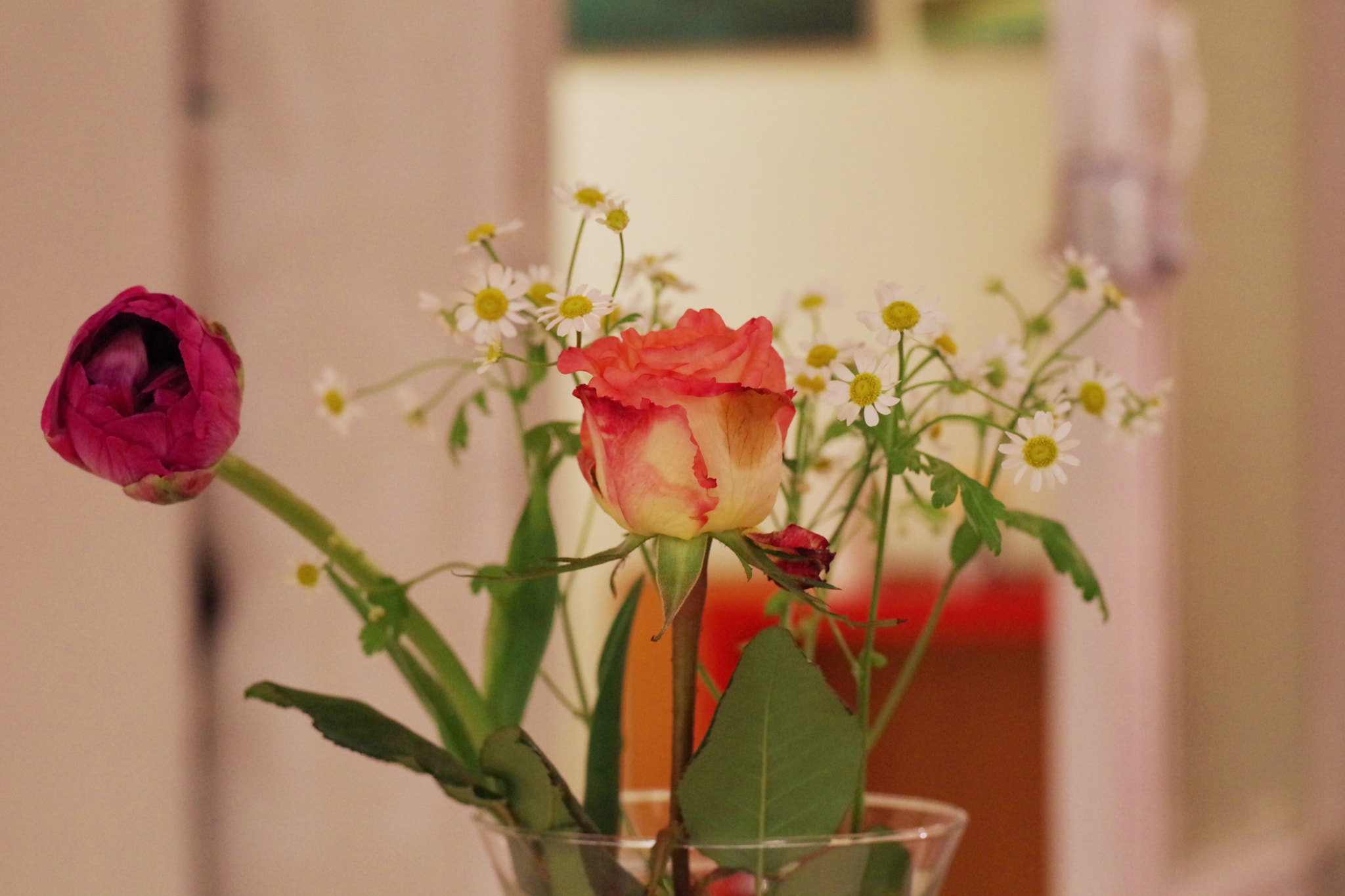 Pentax K-1 Mark II sample photo