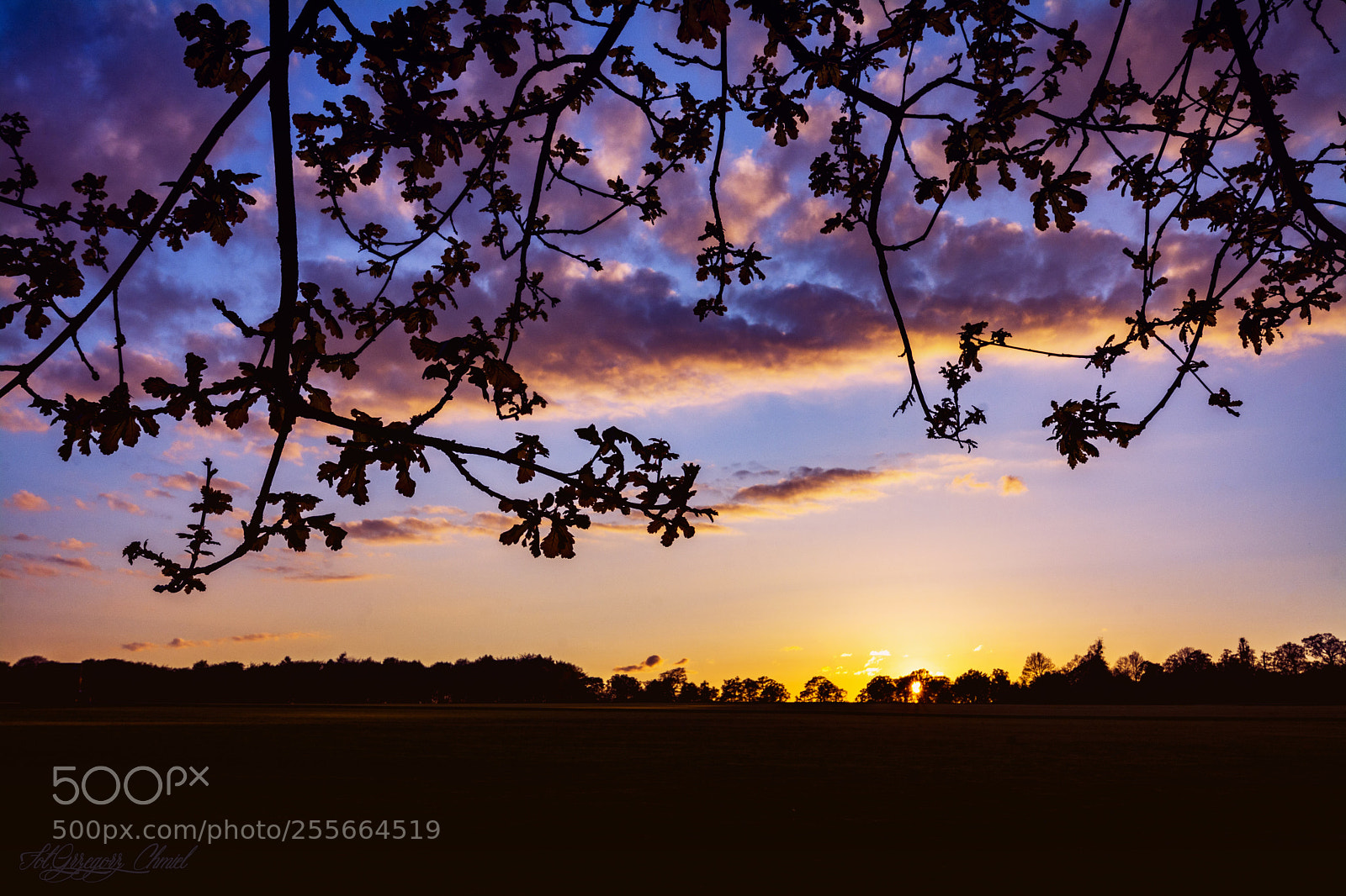 Nikon D7100 sample photo. Forbidden sky photography