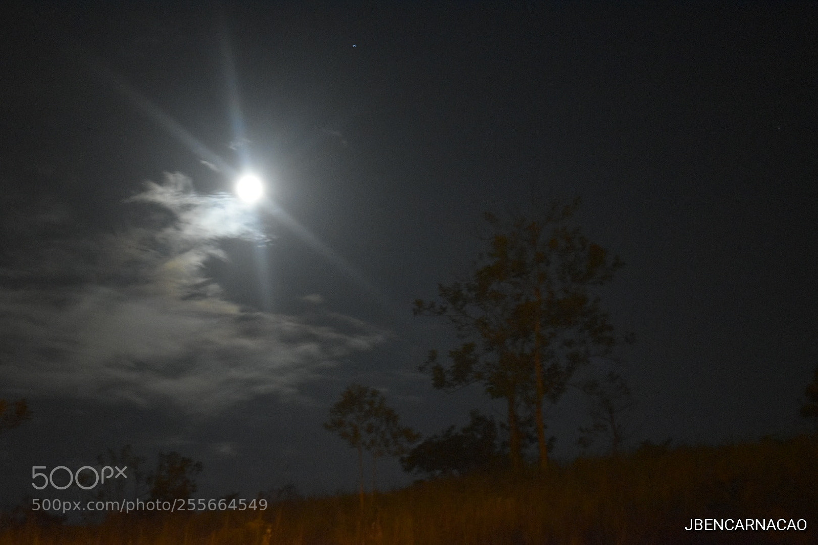 Nikon D5600 sample photo. Moonlight photography