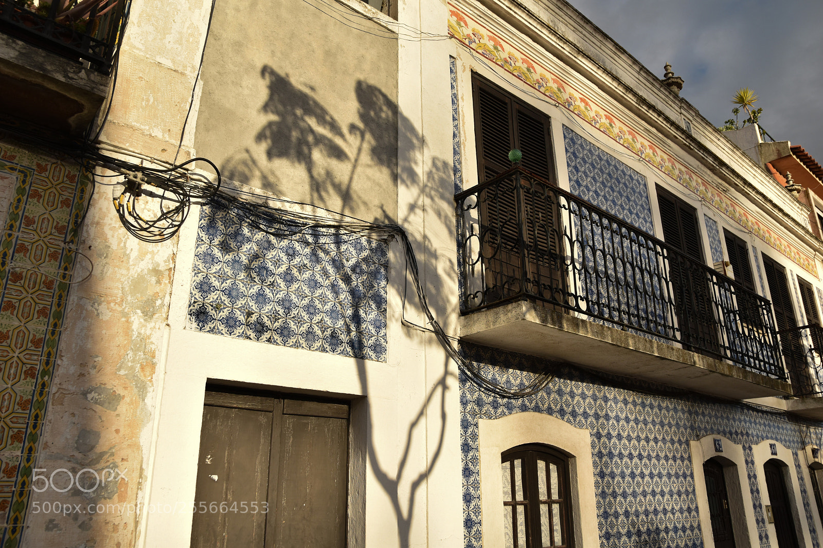 Nikon D5500 sample photo. Tree shadow in lisbon photography