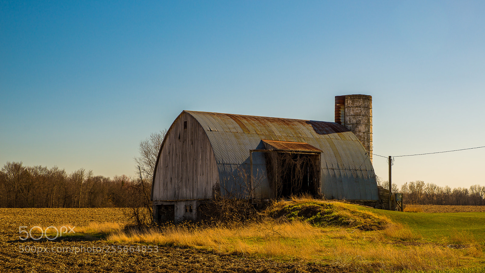 Nikon D800 sample photo. Still standing photography