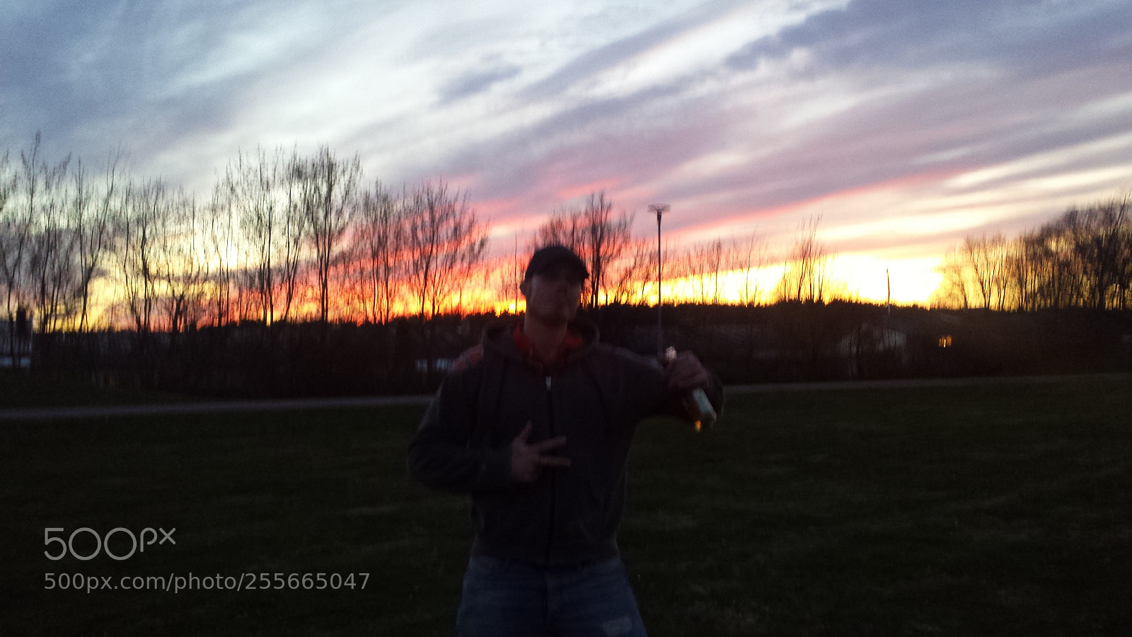 Samsung Galaxy S4 sample photo. Untitled photography