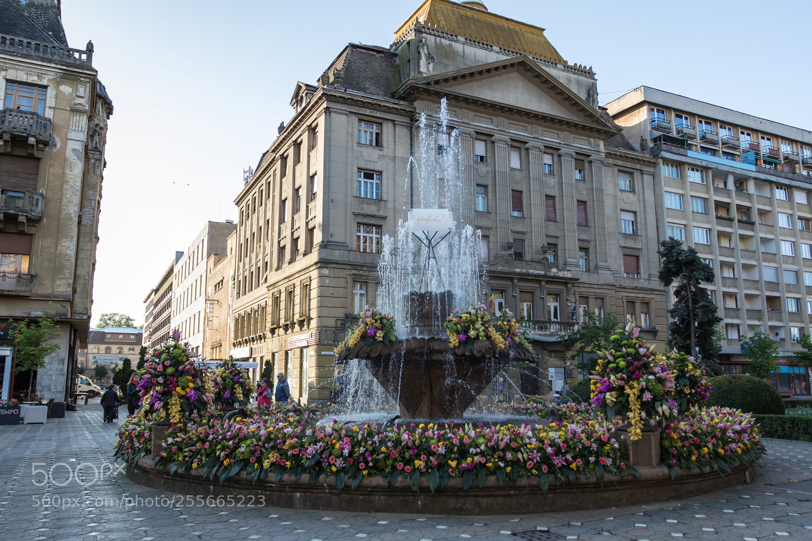 Canon EOS 77D (EOS 9000D / EOS 770D) sample photo. Fish fountain dressed in photography