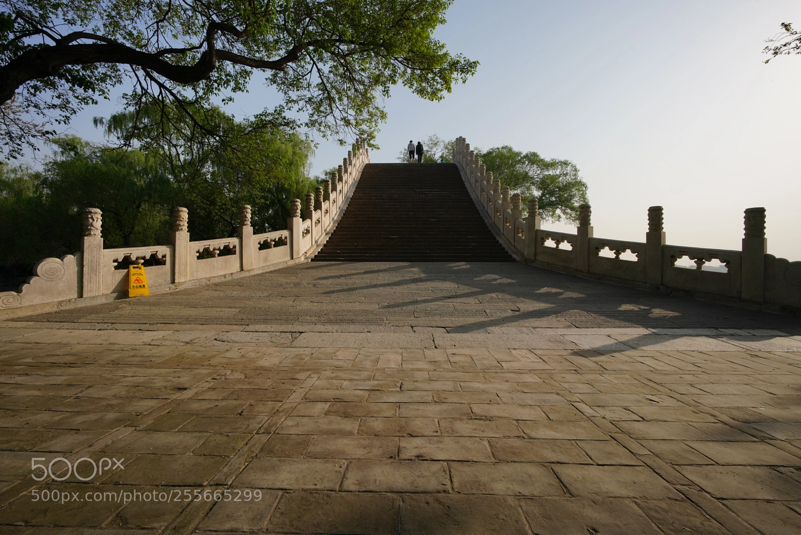 Sony a7R III sample photo. Untitled photography
