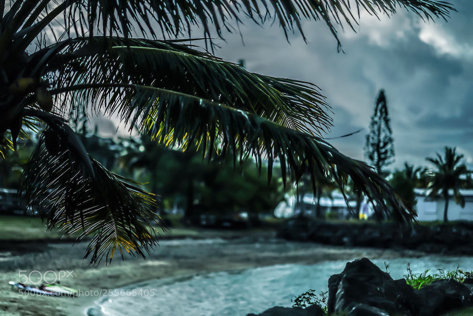 Sony a7S sample photo. Coco beach. photography