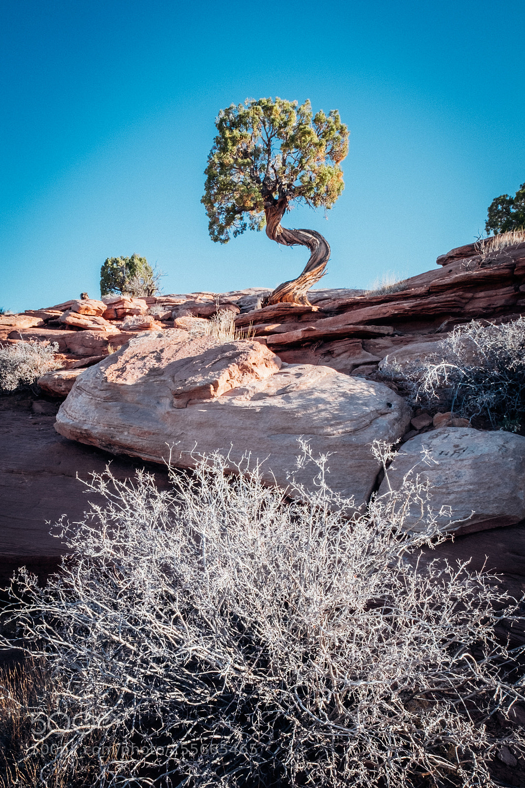 Fujifilm X-T2 sample photo. Dead horse point state photography