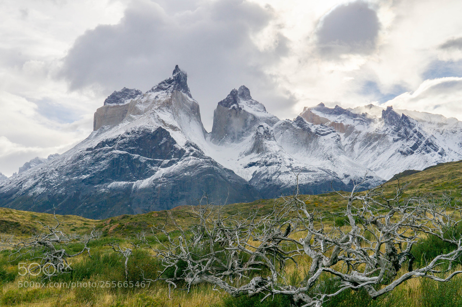 Sony a6000 sample photo. Torres del paine los photography