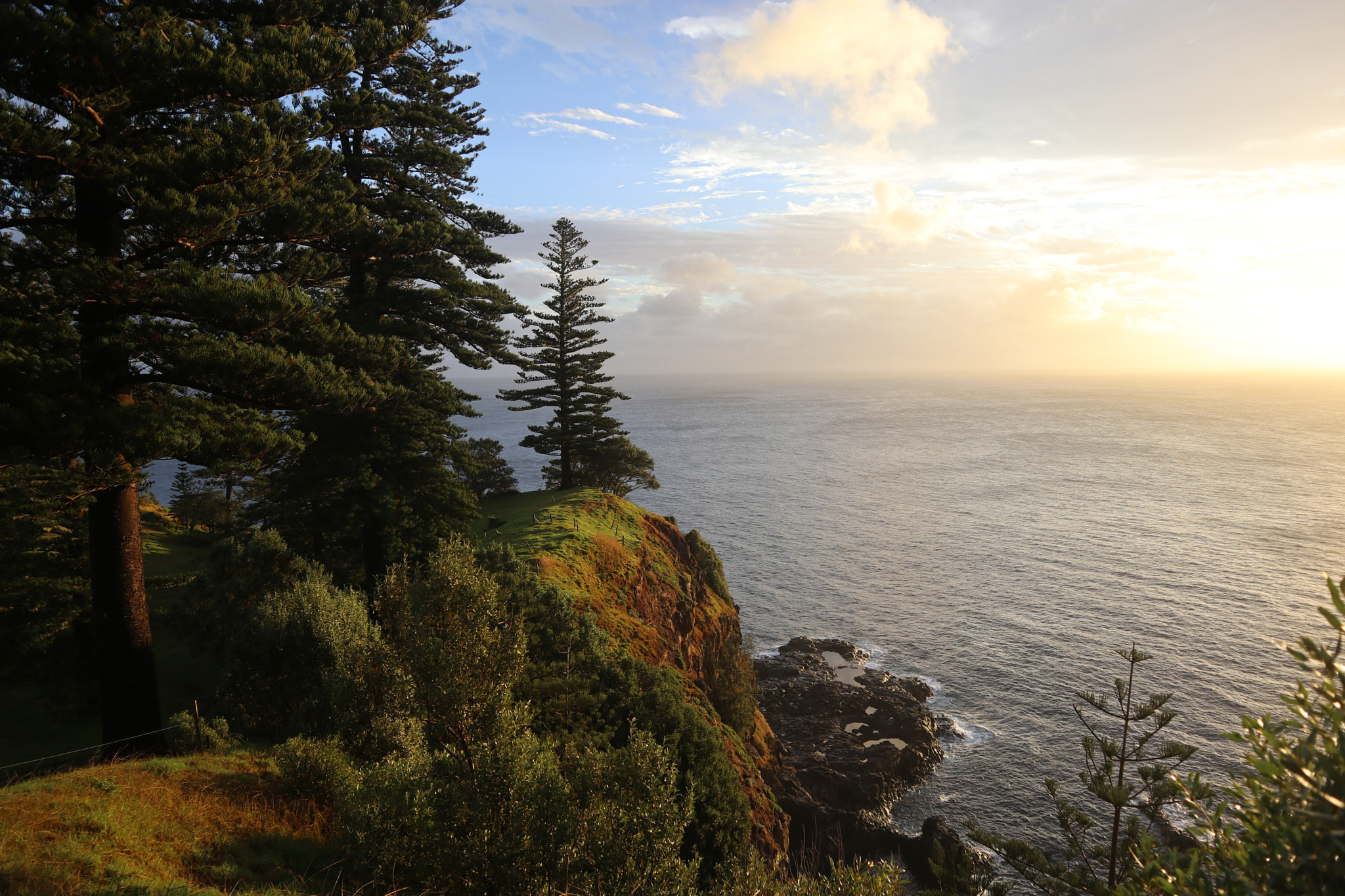 Canon EOS M5 + Canon EF-M 15-45mm F3.5-6.3 IS STM sample photo. Norfolk island photography