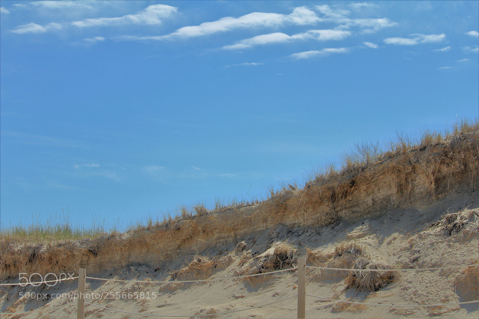 Canon EOS 1300D (EOS Rebel T6 / EOS Kiss X80) sample photo. Dunes photography