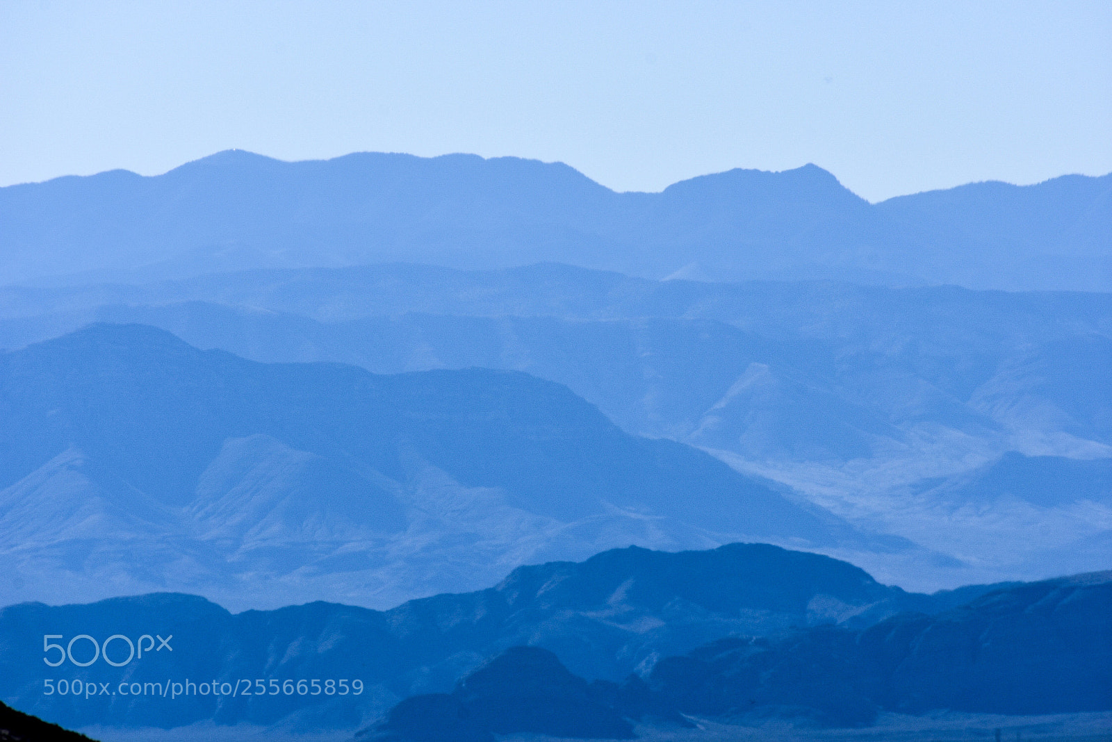 Nikon D3400 sample photo. Layers of beauty! photography