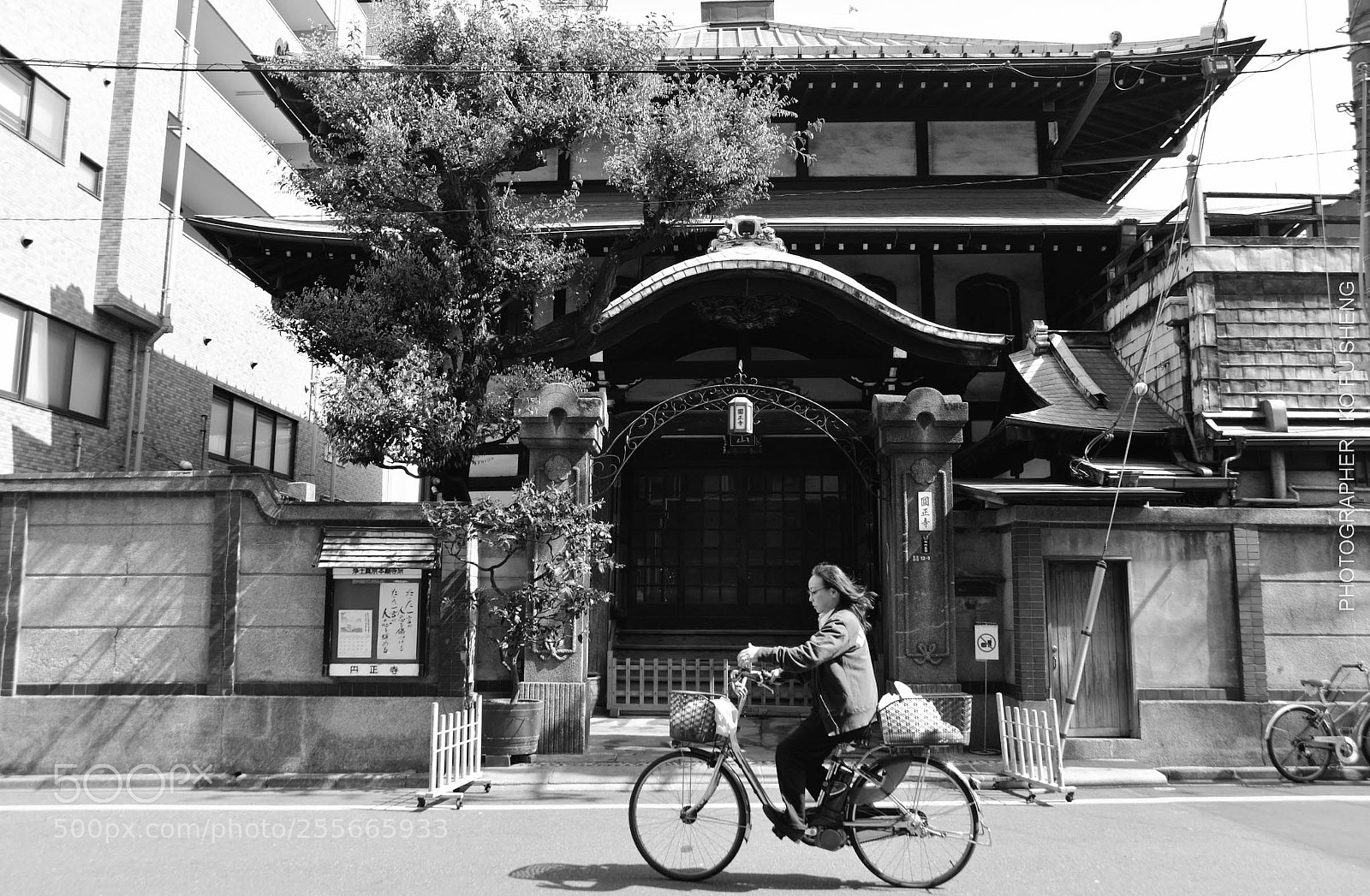 Nikon D610 sample photo. The rhythm of tsukiji | 築地的節奏 photography