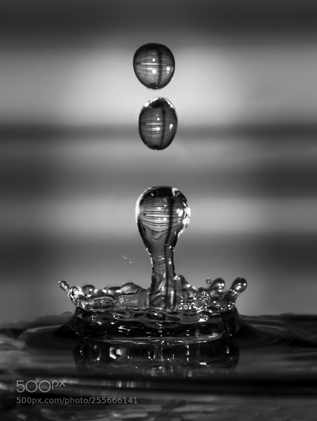 Nikon D7100 sample photo. Water droplets photography