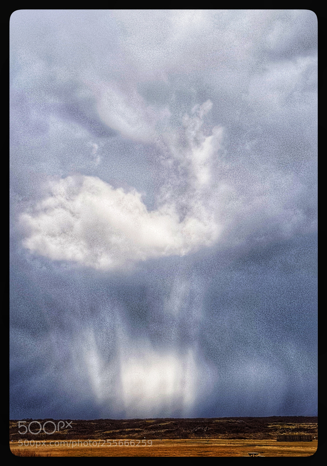 Samsung Galaxy S8+ sample photo. Anticrepuscularrays photography