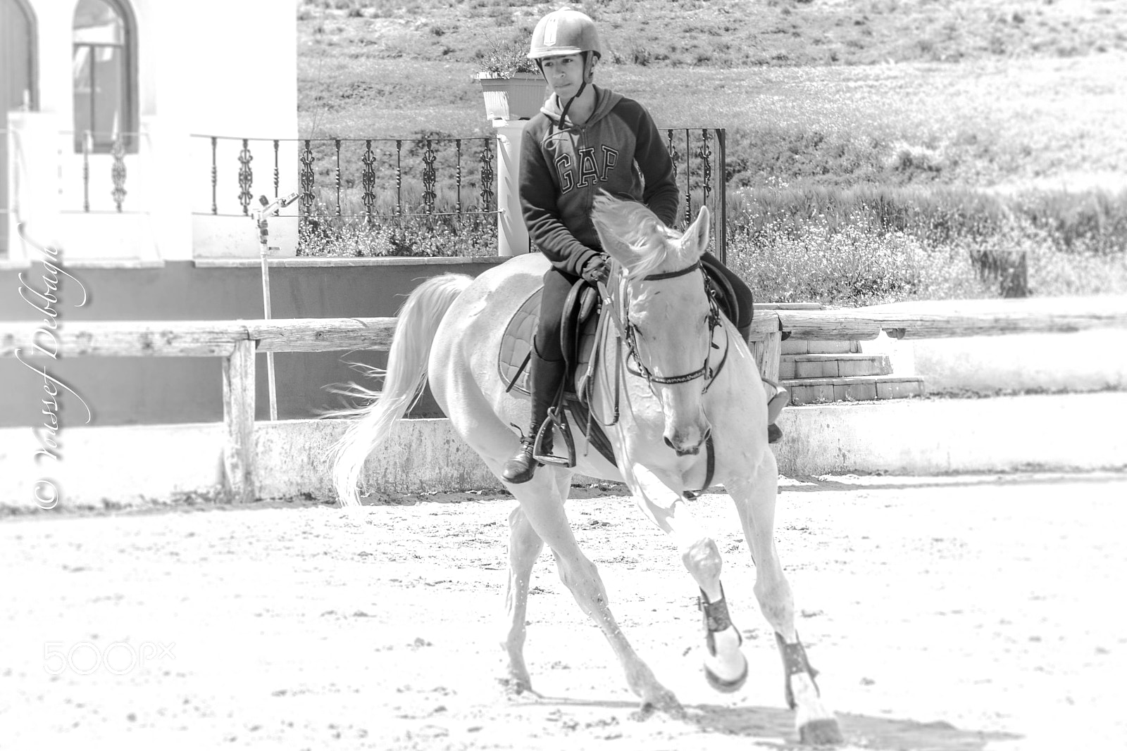 Nikon D5200 sample photo. Riding photography