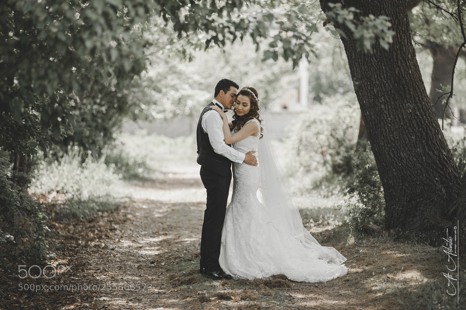 Canon EOS-1Ds Mark III sample photo. Wedding photography