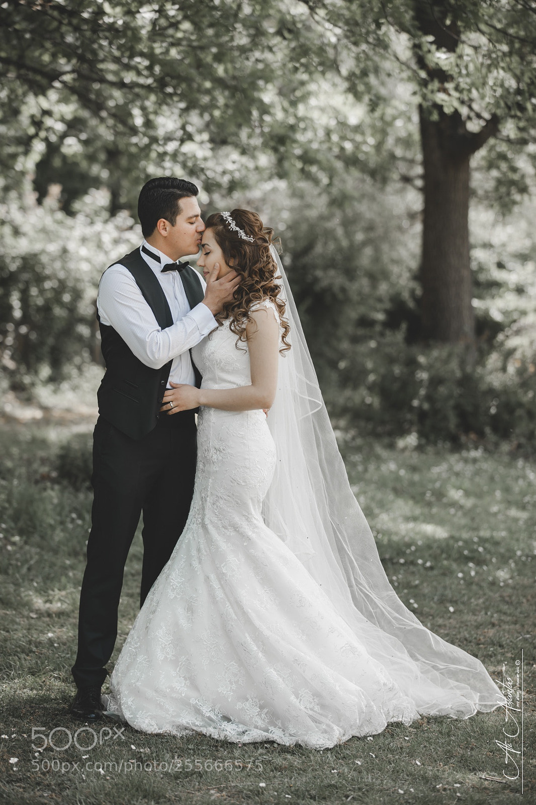 Canon EOS-1Ds Mark III sample photo. Wedding photography