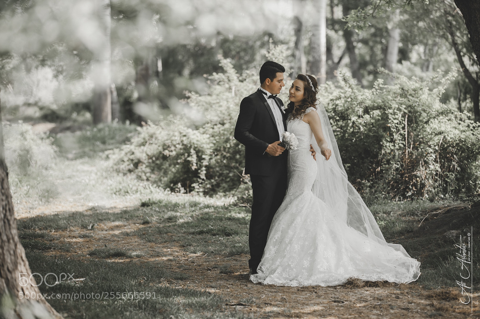 Canon EOS-1Ds Mark III sample photo. Wedding photography