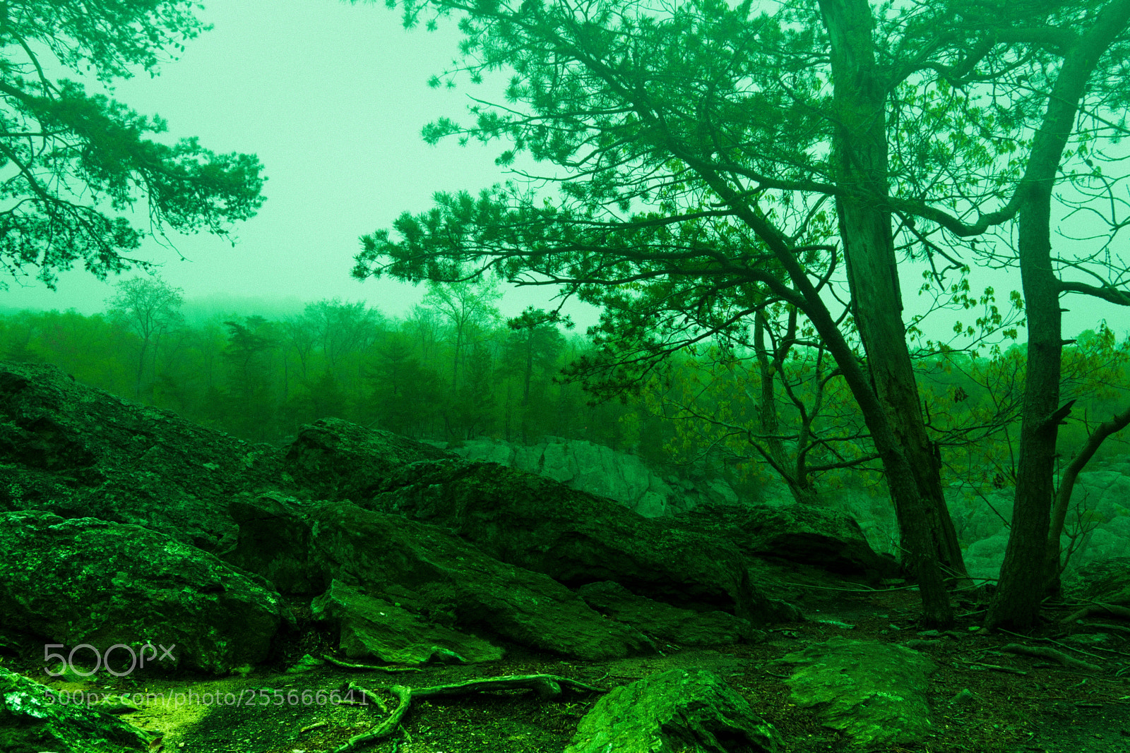 Sony a7R sample photo. Great falls national park photography