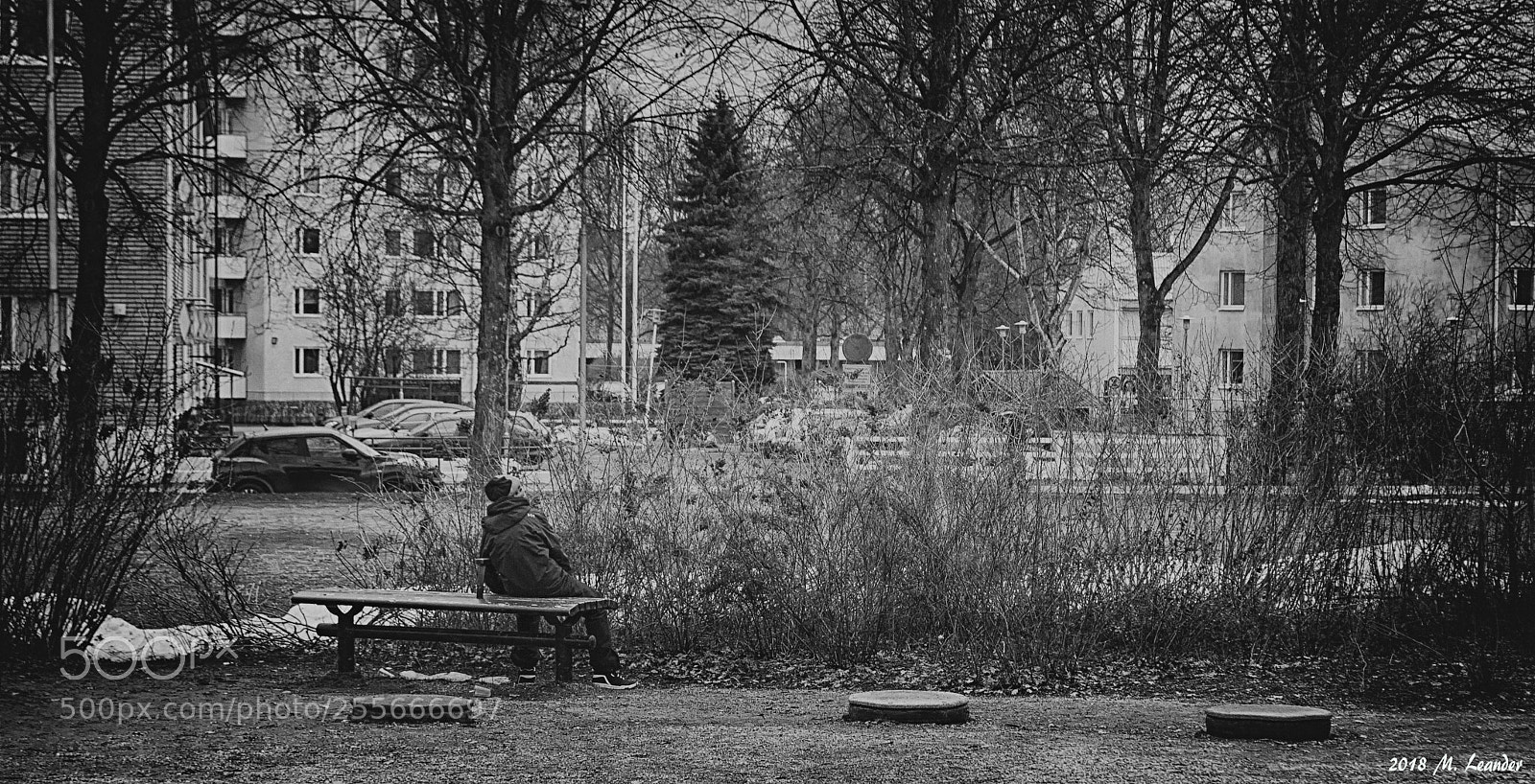 Nikon D3000 sample photo. Alone photography