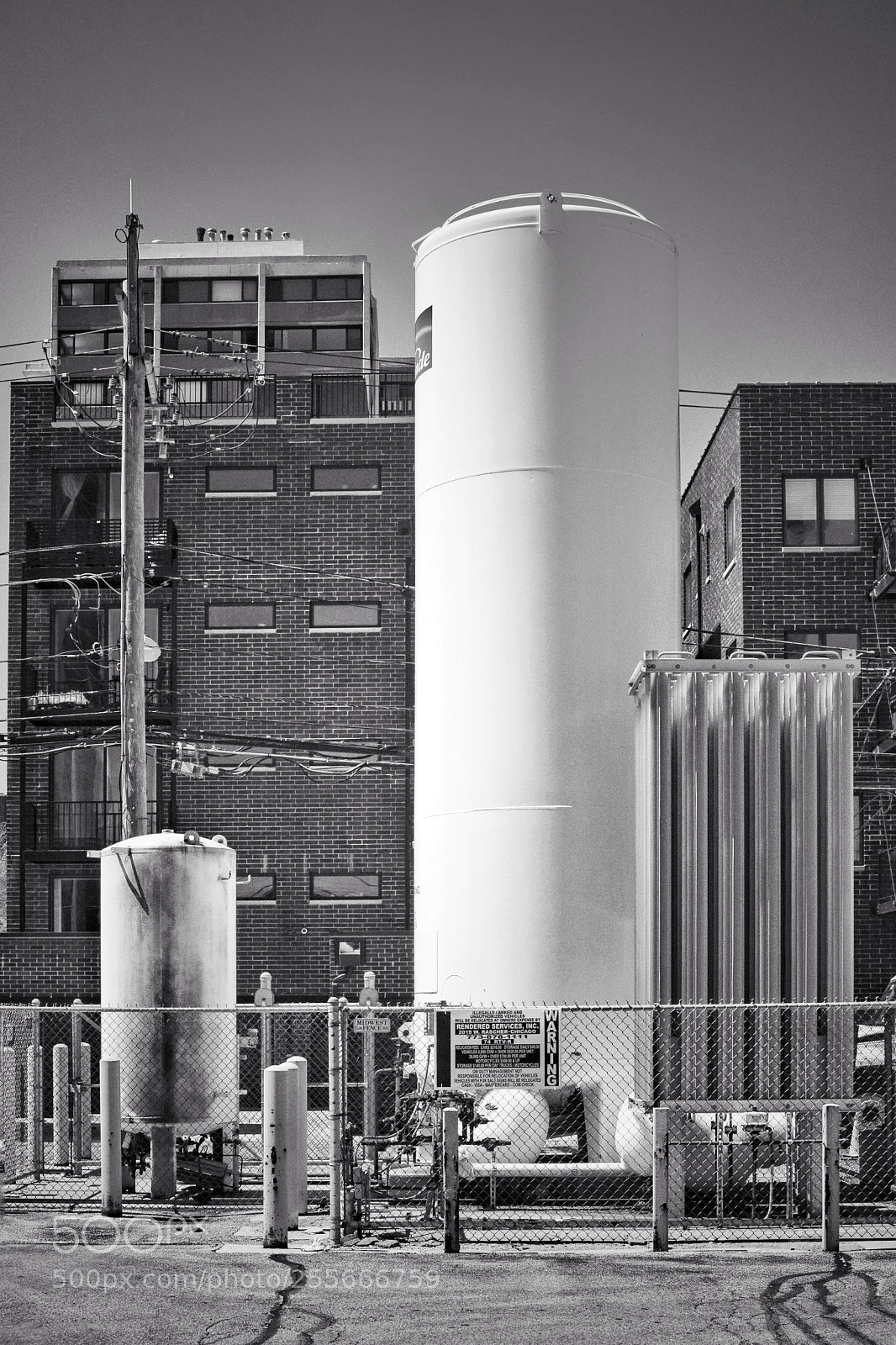 Nikon D7100 sample photo. Electric photography