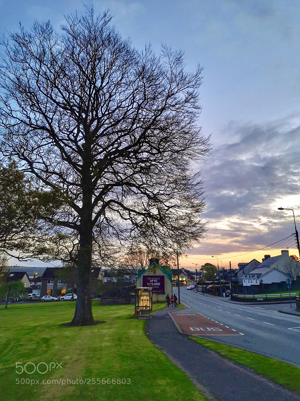 HUAWEI CLT-L09 sample photo. Saturday sunset ?  photography