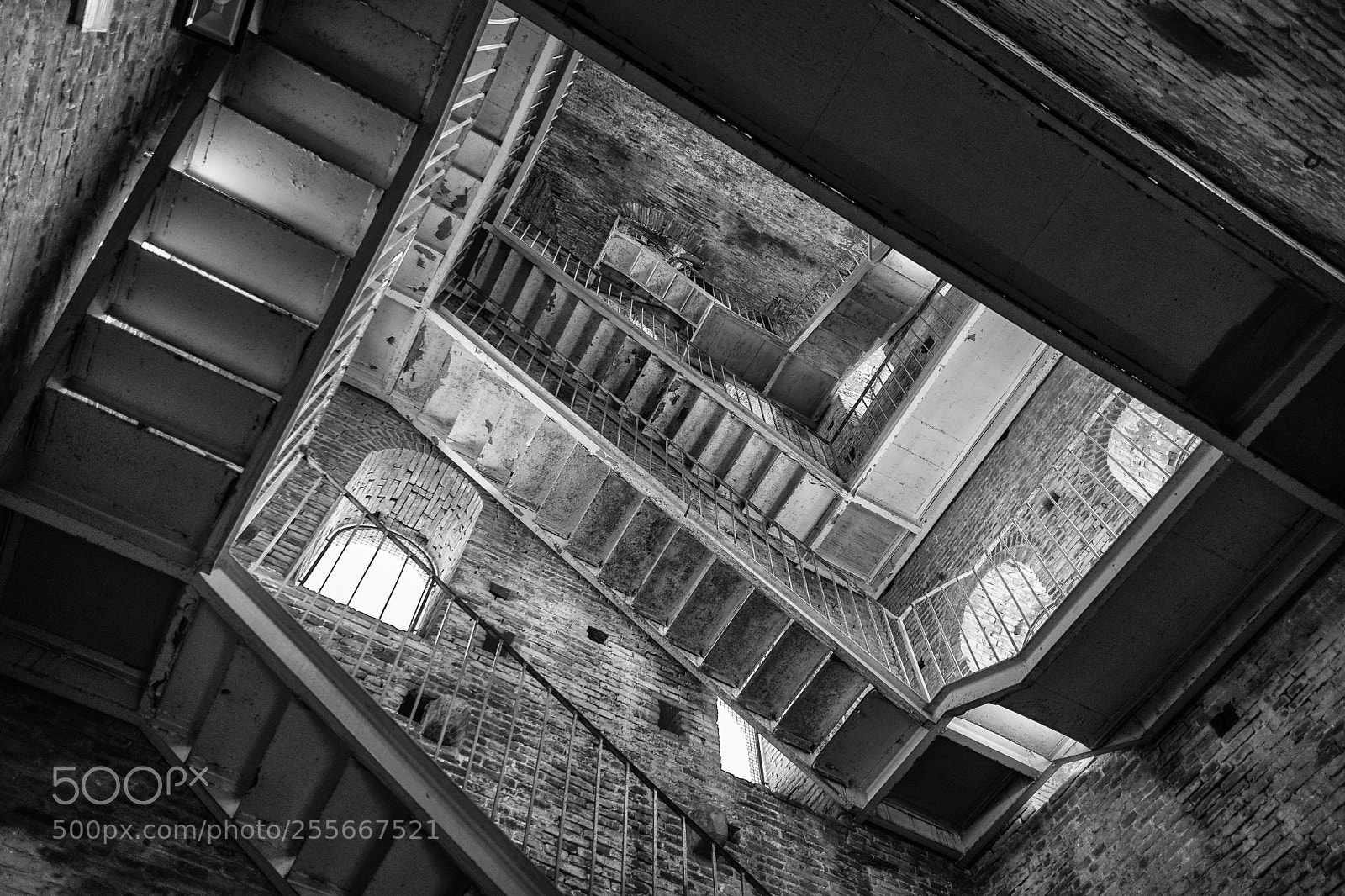 Nikon D500 sample photo. Inside the guinigi tower photography