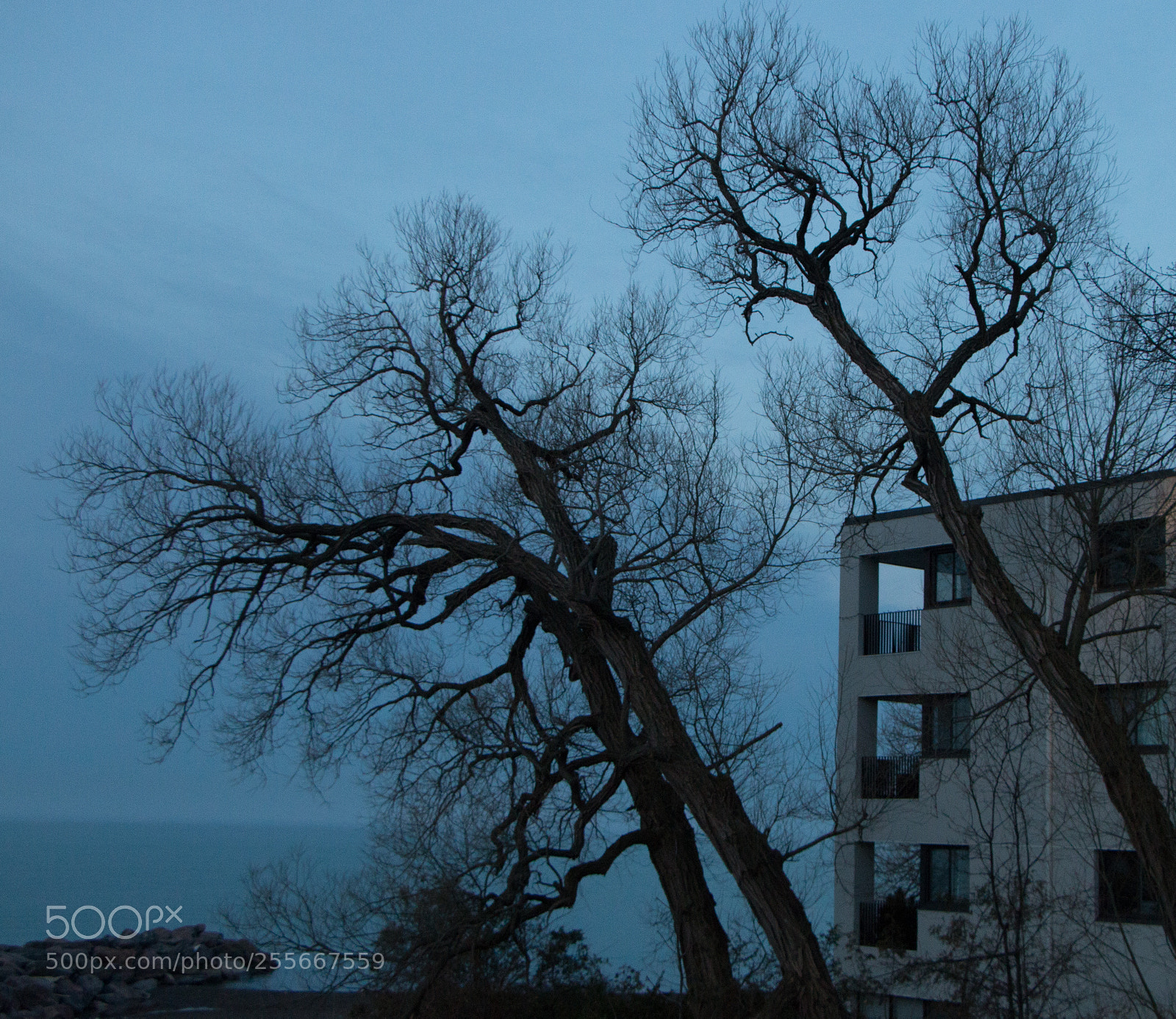 Canon EOS 70D sample photo. Spooky photography