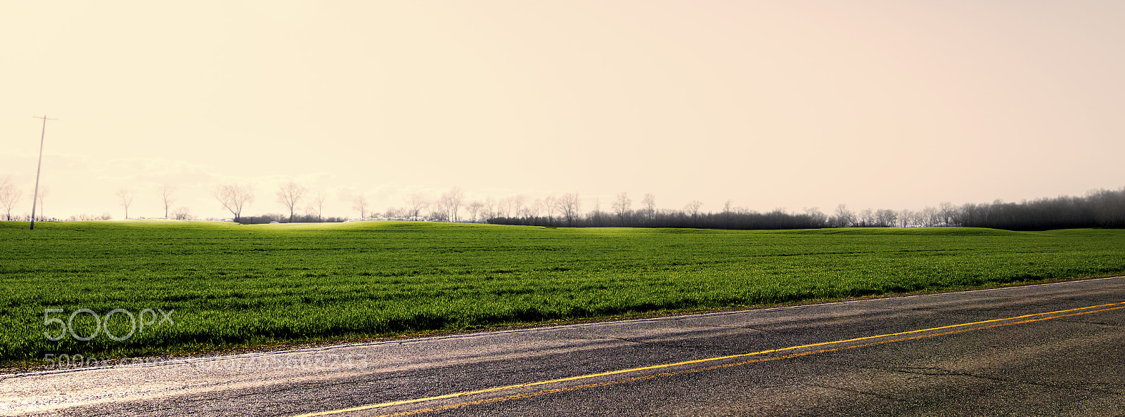 Nikon D3200 sample photo. Green pasture photography