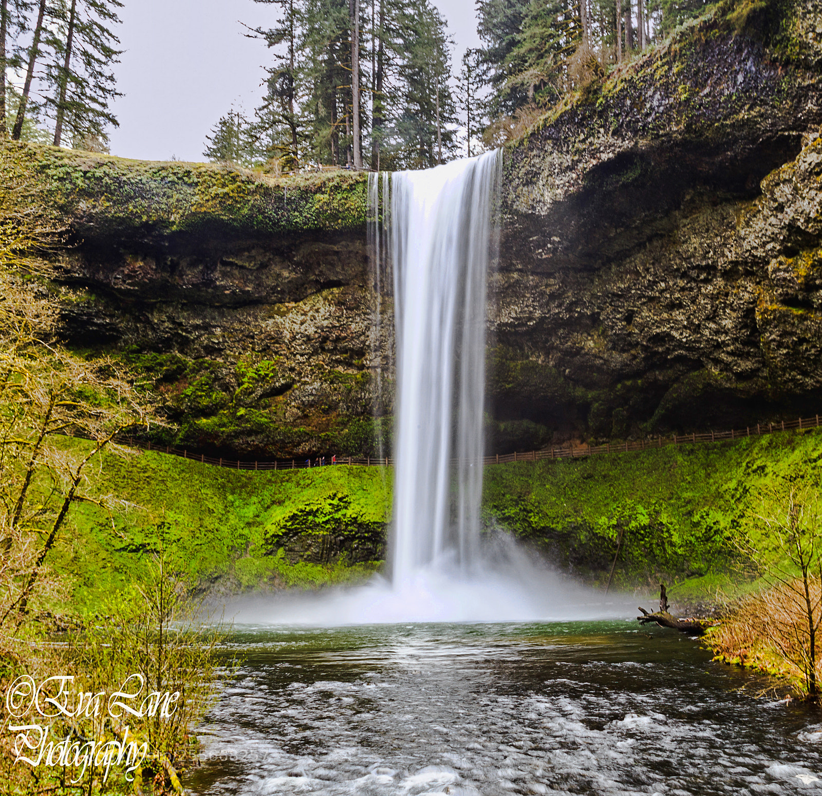 Canon EOS 6D sample photo. Below silver falls photography