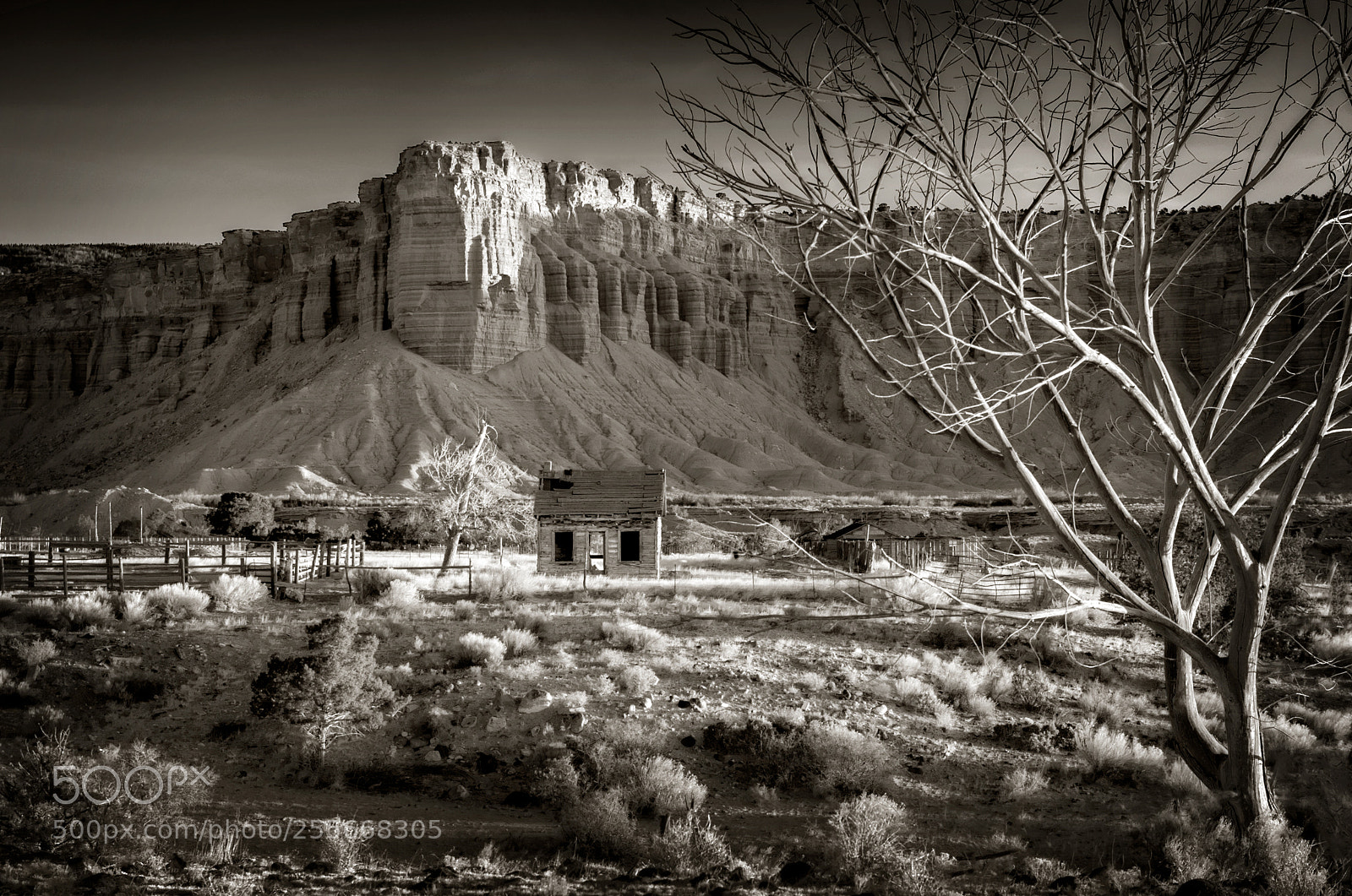 Nikon D700 sample photo. Torrey, utah photography