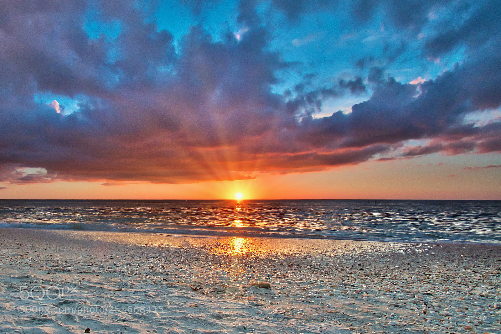 Nikon D500 sample photo. Beach sunset photography