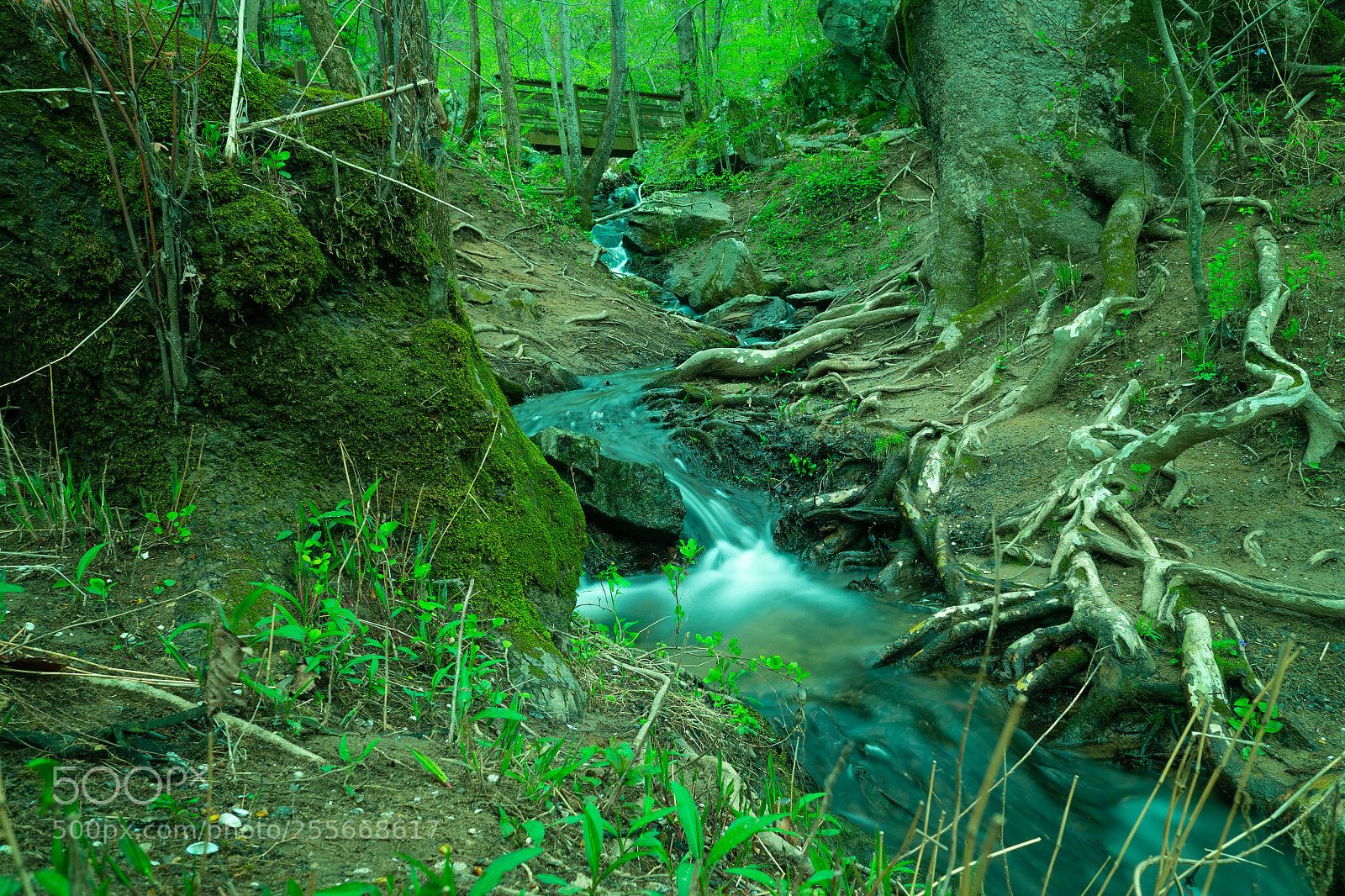 Sony a7R sample photo. Great falls national park photography