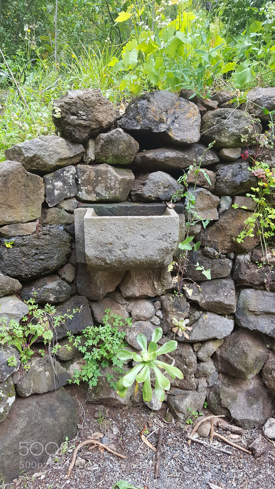 Samsung GALAXY S6 edge sample photo. Untitled photography