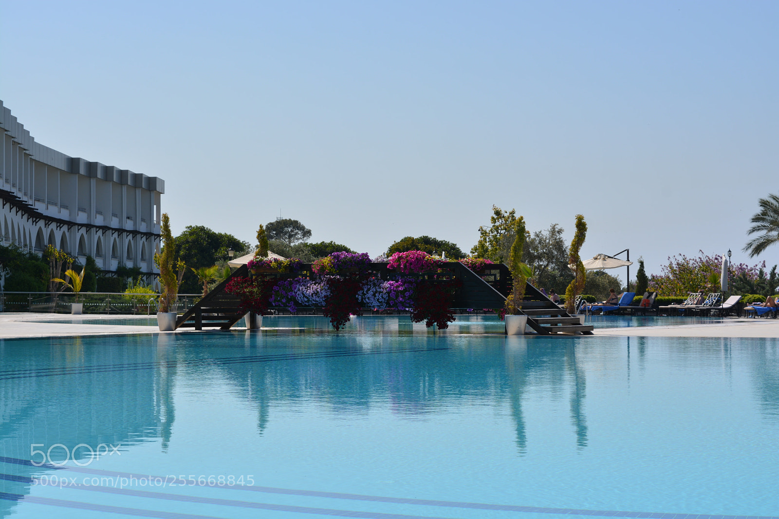 Nikon D5200 sample photo. Swimming pool photography