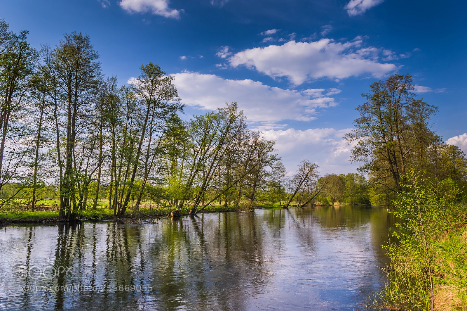 Pentax K-3 II sample photo. The pisa river photography
