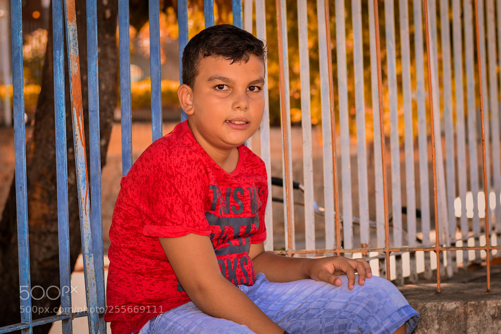 Nikon D5600 sample photo. Lembran as de uma photography