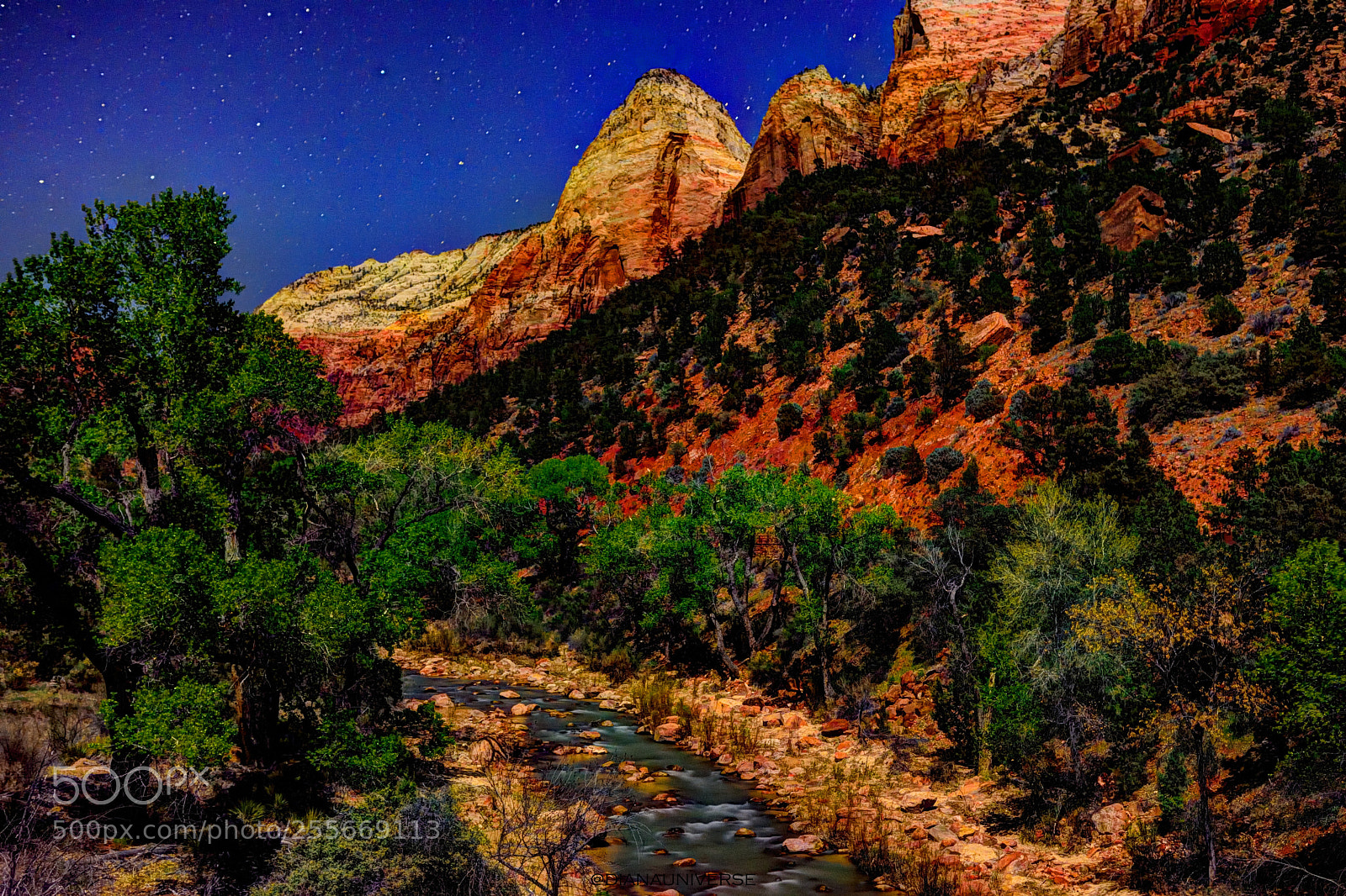 Nikon D7200 sample photo. Desert starry night photography