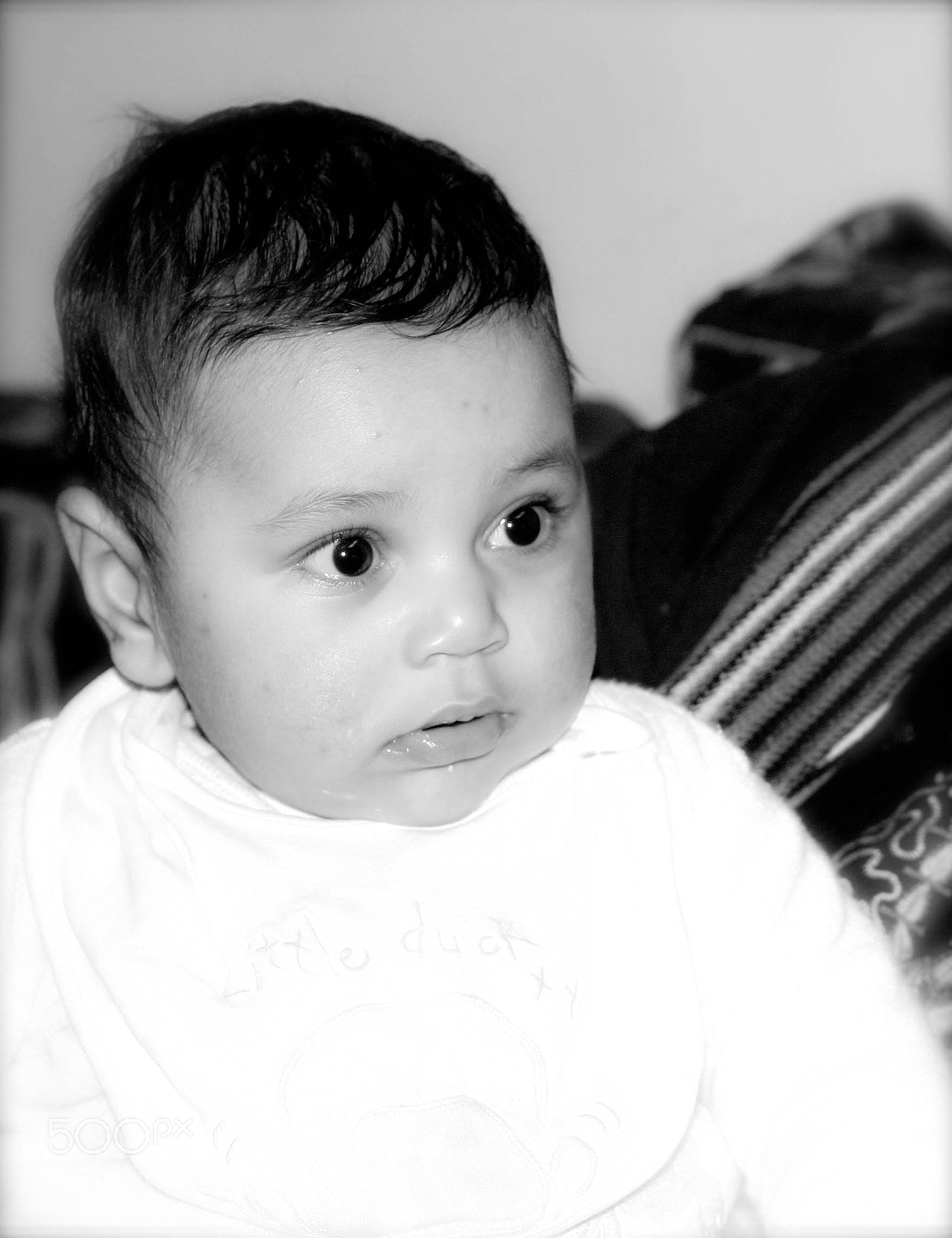 Canon EOS 350D (EOS Digital Rebel XT / EOS Kiss Digital N) sample photo. Don omar photography