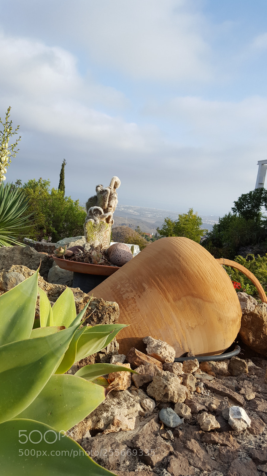Samsung GALAXY S6 edge sample photo. Untitled photography