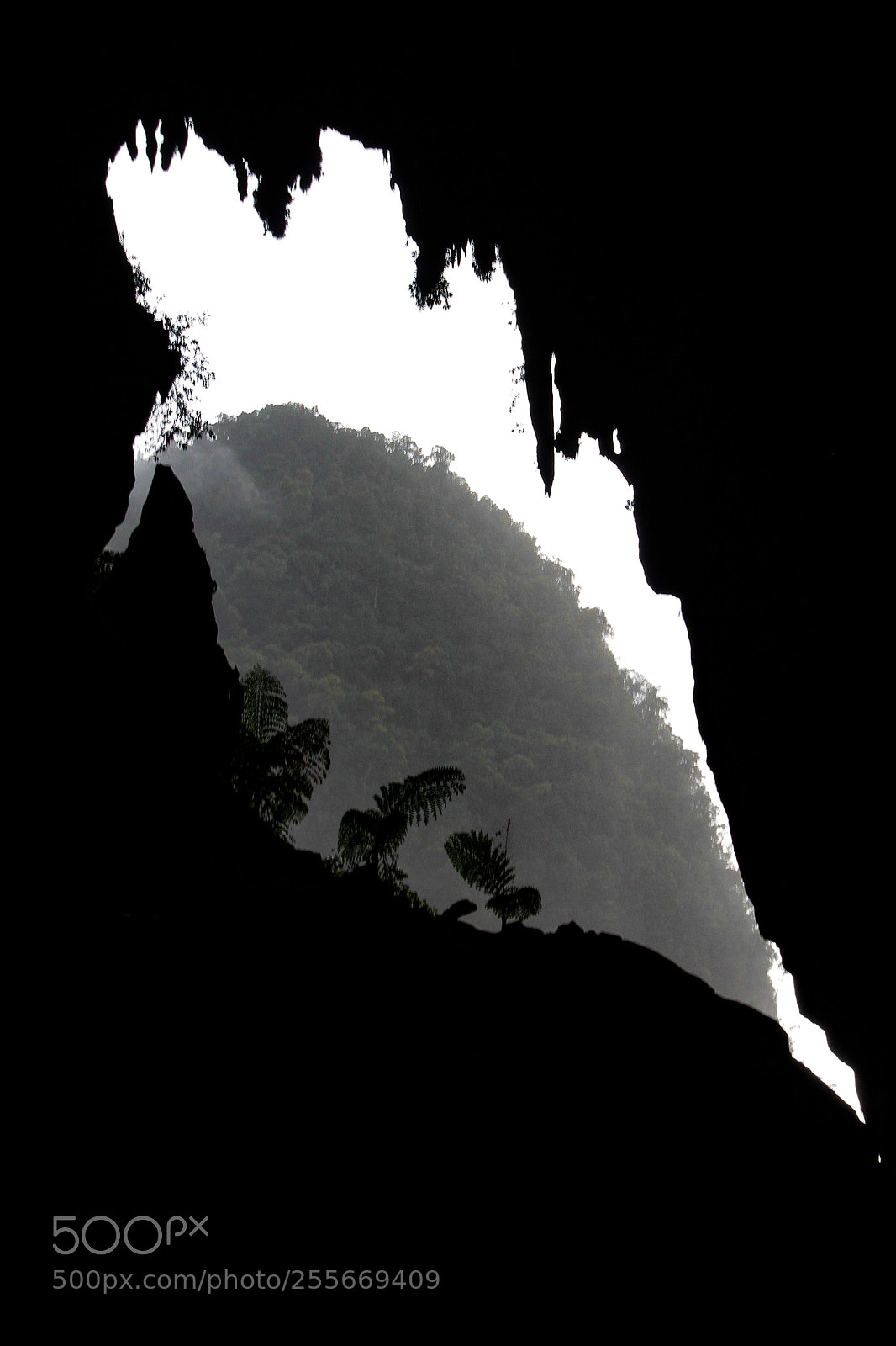 Canon EOS 7D sample photo. Gargantuan window photography
